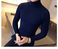 Navy Full Sleeves Turtle Neck